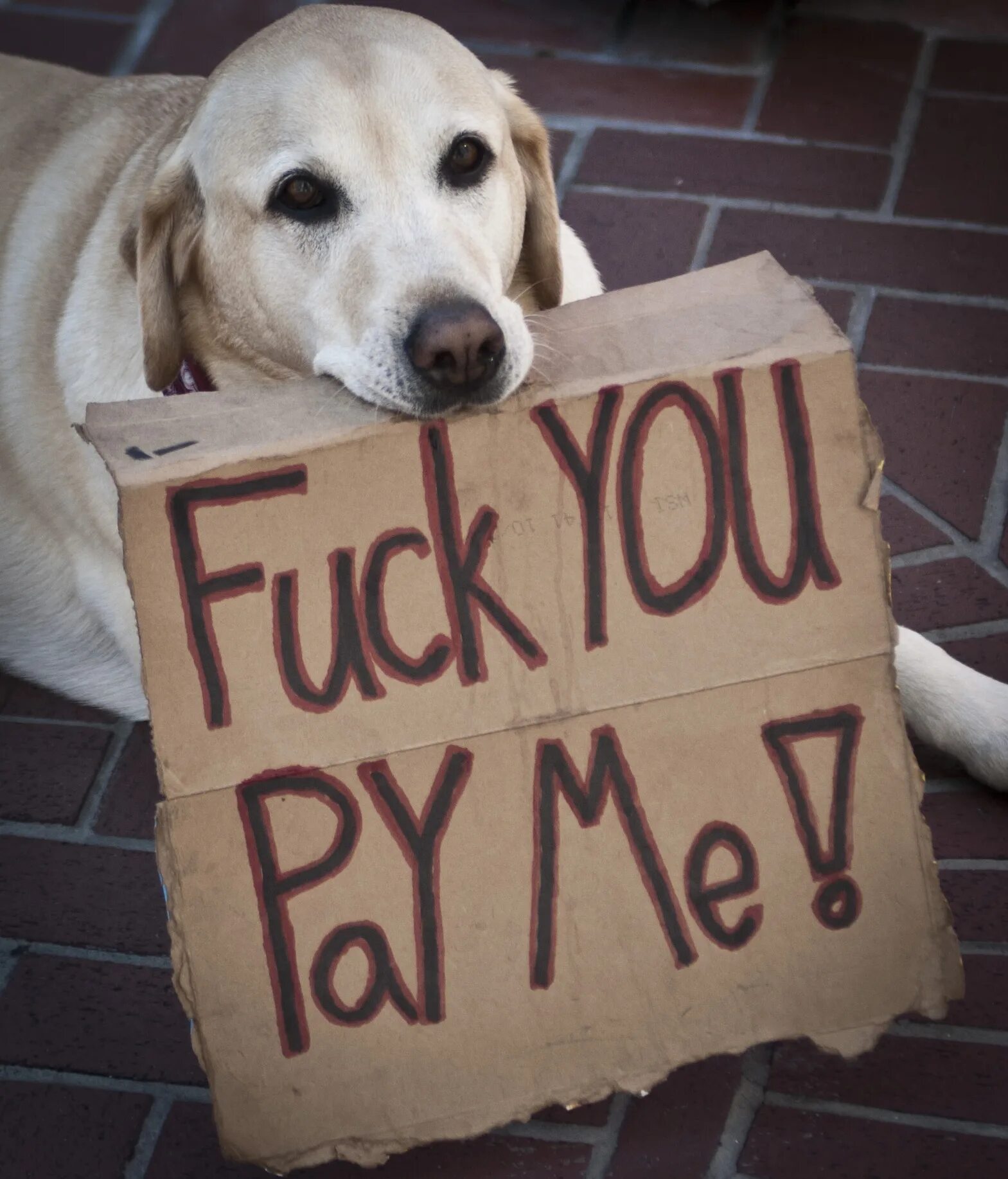 Did you go home. Pay me надпись. fypm. you pay. pay me back! 0r let me.. 🤣.
