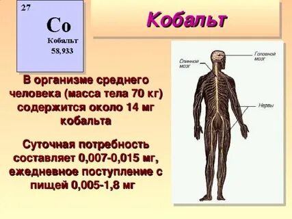 Роль кобальта в организме человека