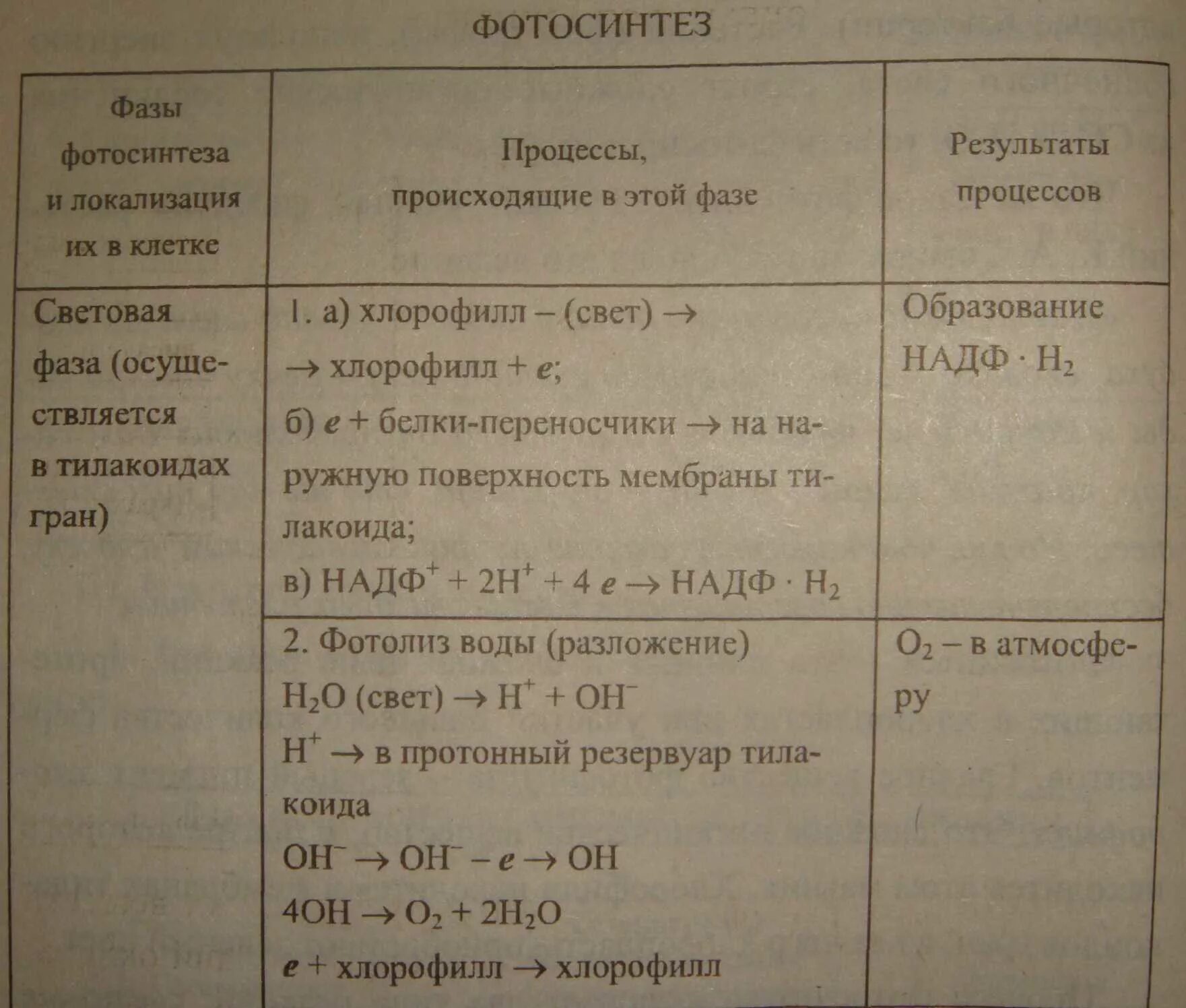 Фазы и процессы фотосинтеза таблица. Таблица фазы фотосинтеза процесс и Результаты процессов. Фазы процесса фотосинтеза. Фазы фотосинтеза происходящие процессы Результаты. Таблица реакции фотосинтеза
