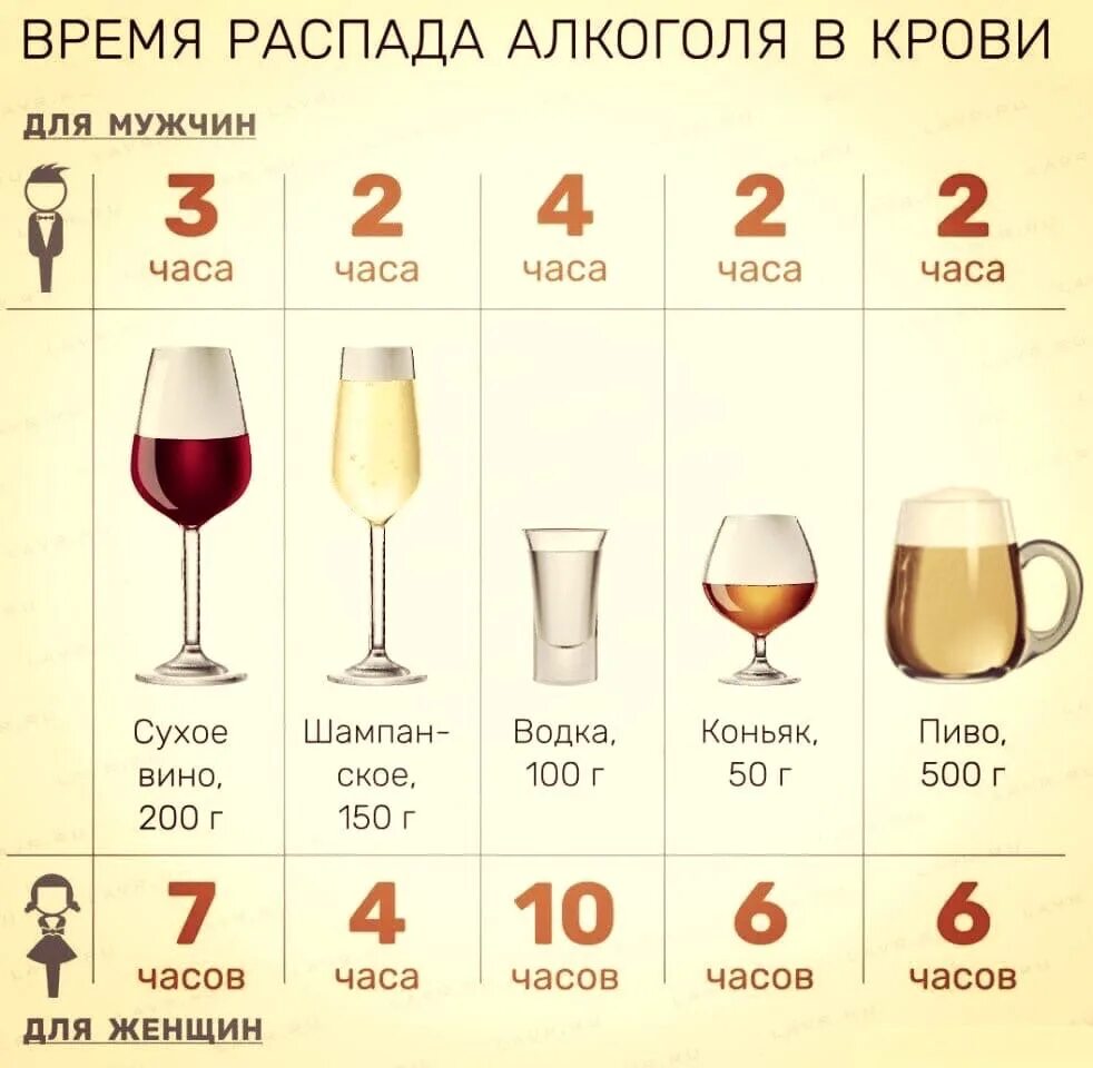 Выпьешь какое время