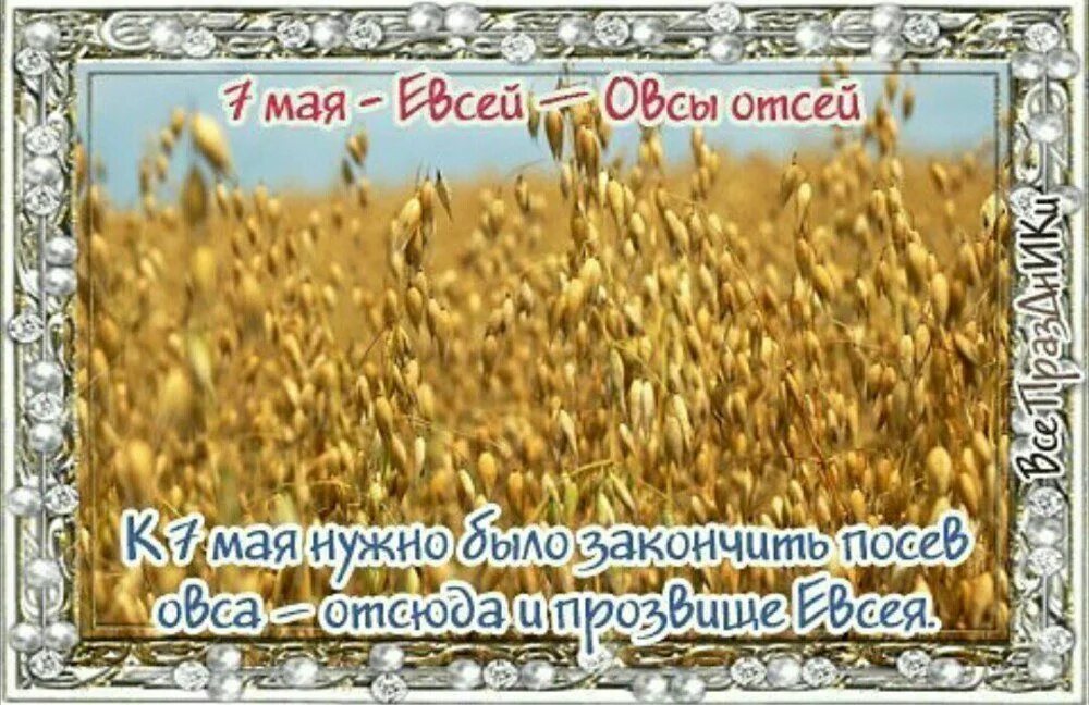 Семь майских дней. Семь майских дней