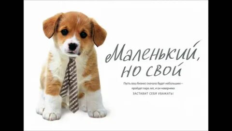 На сайте будет небольшой