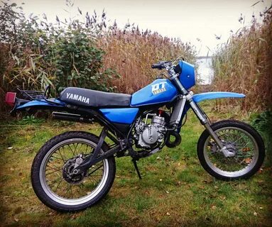 Dt 50