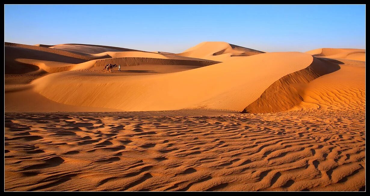 Зыбучие Пески в пустыне. Зыбучие Пески в пустыне сахара. Пустыня Дюна зыбучие Пески. Пустыня Африки зыбучие Пески.