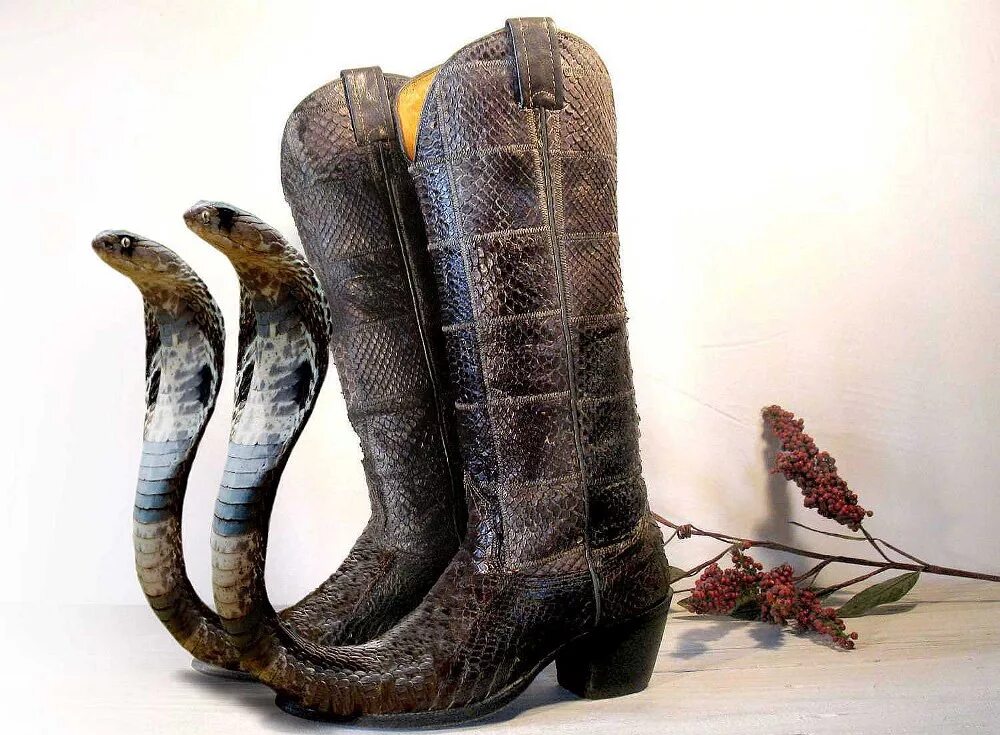 Сапоги змеи. Сапоги змеи. Laredo phyton boots. Сапоги змеи. Змеиные ботинки.