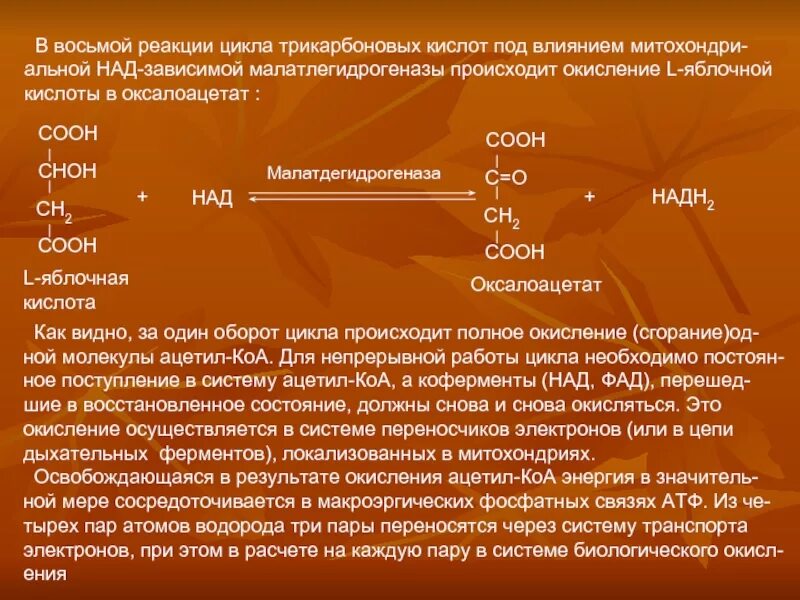 У человека в процессе дыхания происходит окисление