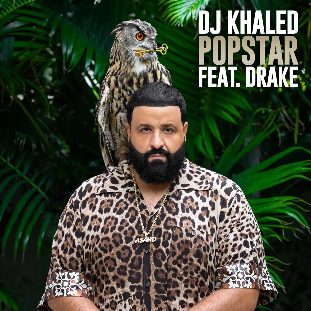 Popstar drake dj. Popstar drake dj. Dj khaled drake. Дрейк и dj khaled. Drake greece.