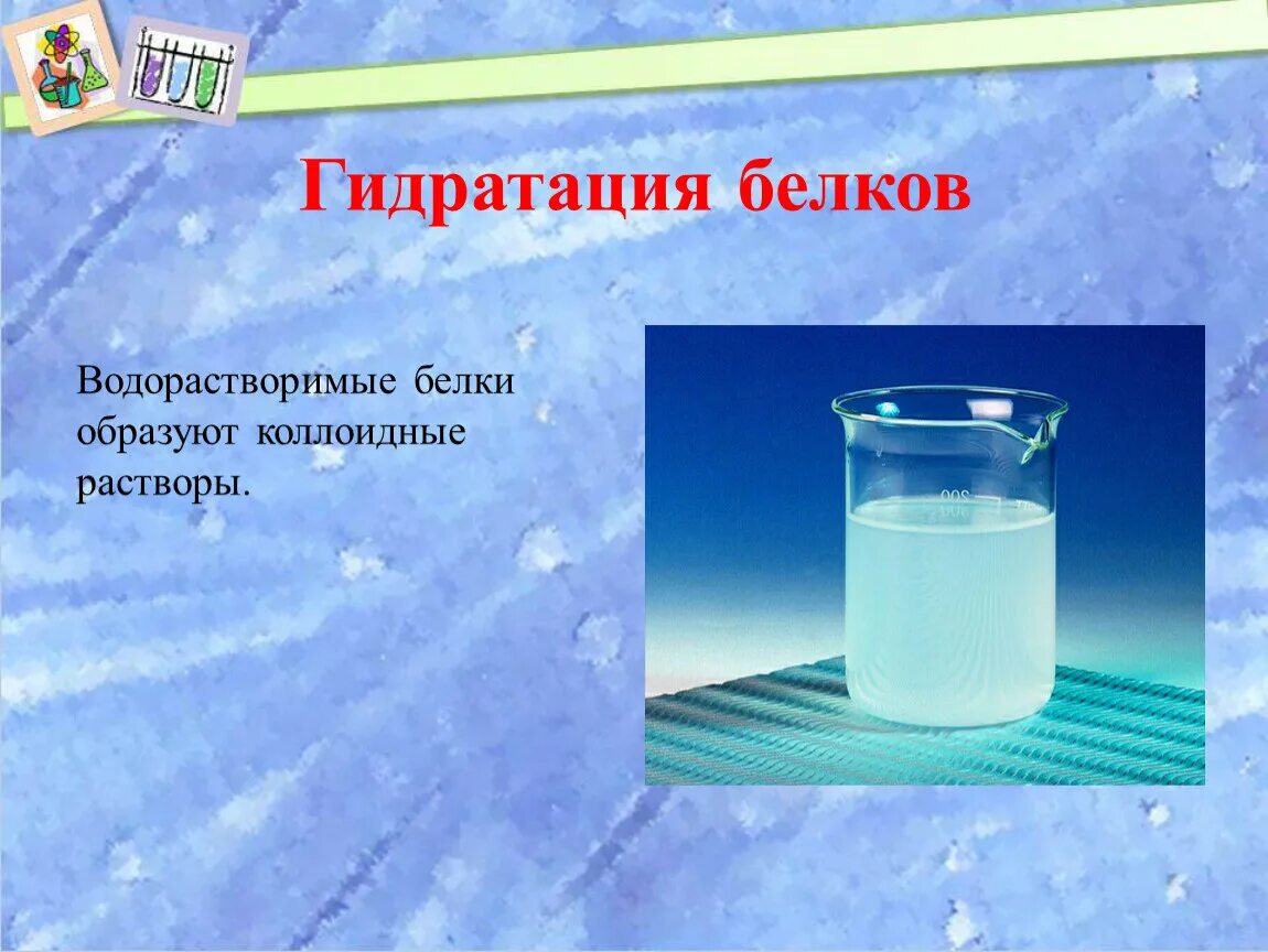 Растворы белков в воде. Гидратация белков. Гидратированный белок это. Гидратация белка. Гидратация белков реакция.