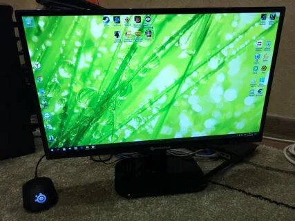 Packard bell maestro