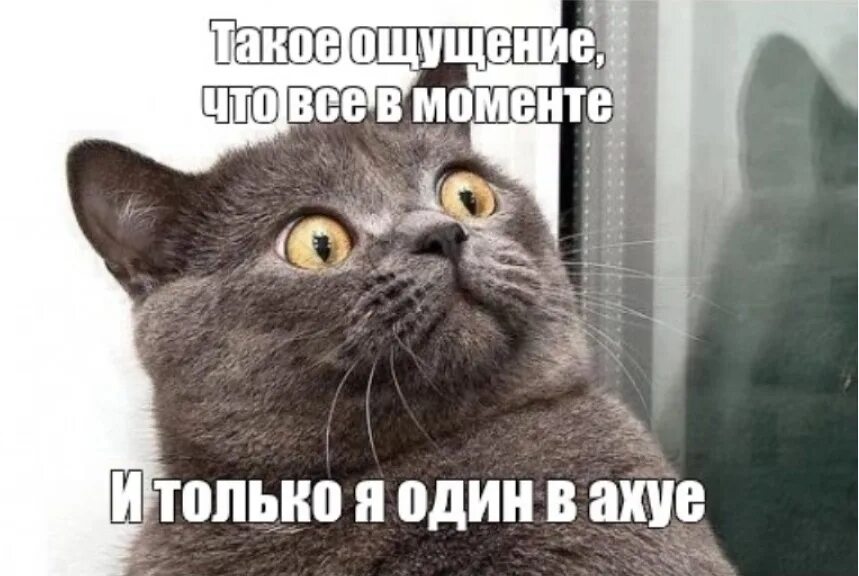 Душой в ахуе. Душой в ахуе