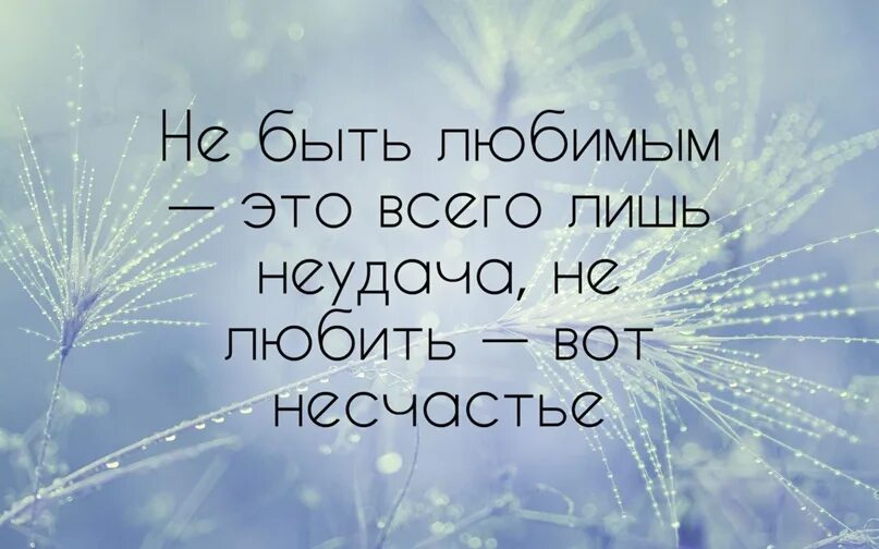 Цитаты про несчастье в жизни. Не быть любимым это всего лишь неудача не любить вот несчастье. Быть нелюбимым всего лишь неудача не любить вот несчастье.