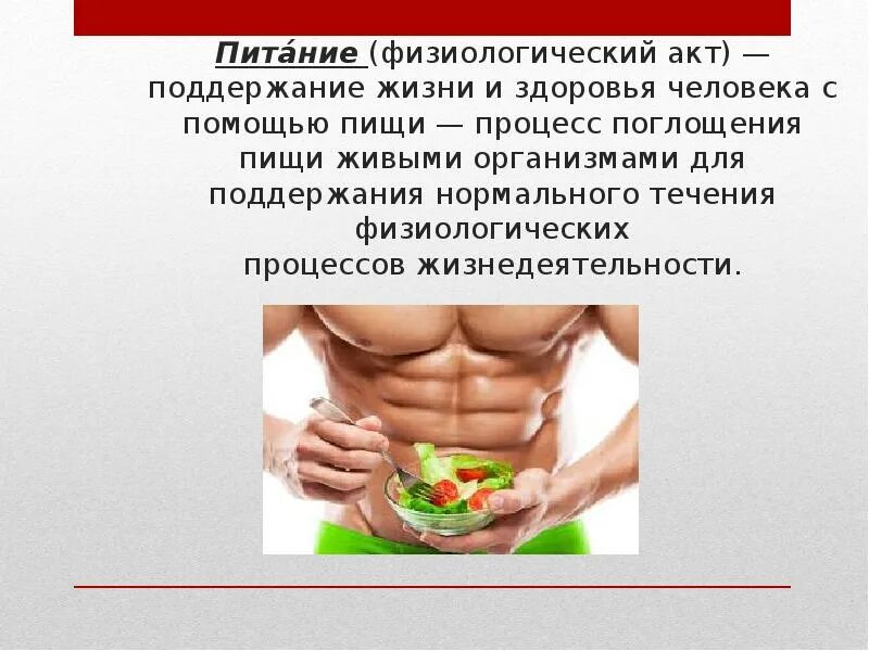 Проект питание и здоровье человека