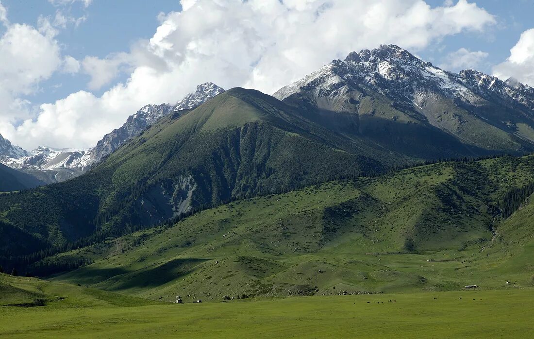 Пик Манаса Киргизия. Мекеним Кыргызстан природа. Ала-ТОО Киргизия горы. Мекеним Кыргызстан картина. Мекеним кыргызстан