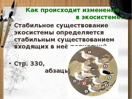 Экосистема устойчива во времени без вмешательства человека