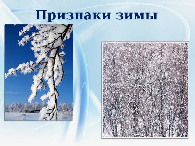 6 признаков зимы. 6 признаков зимы