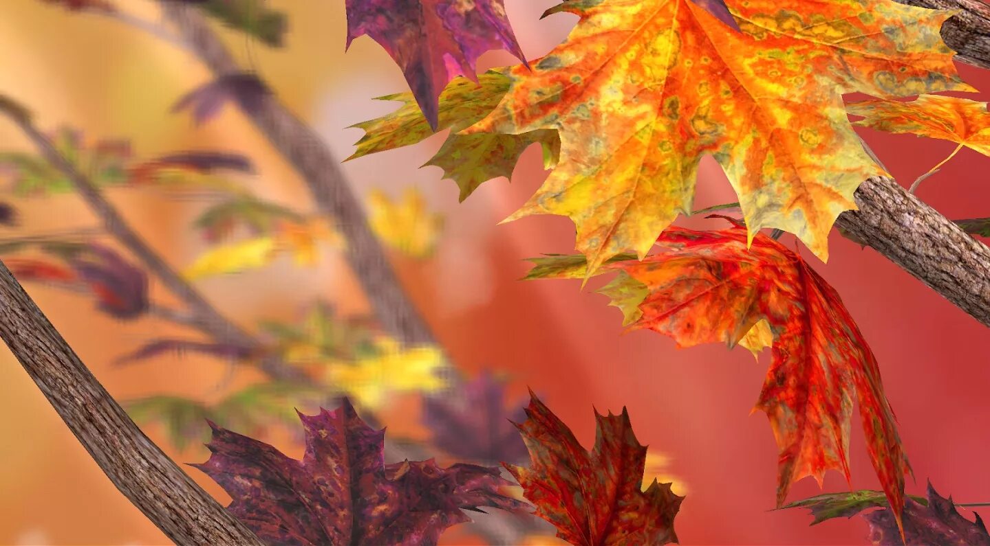 Autumn live