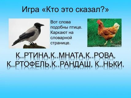 Птица похожие слова