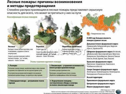 Самая частая причина лесных пожаров