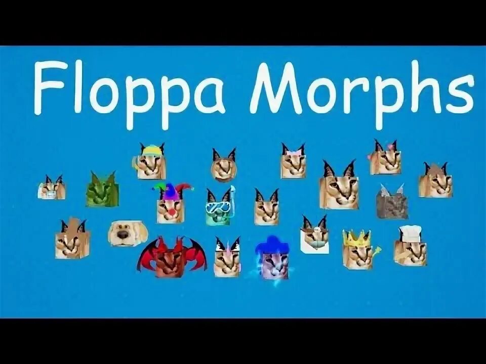 Шлёпа кот игра. Floppa roblox skin. Морф флопа. Roblox find the floppa morphs. Морф флопа.