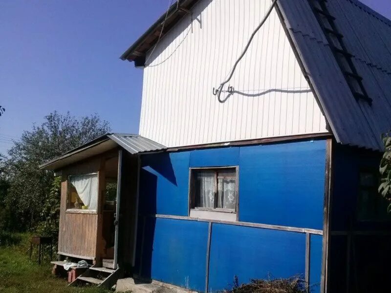 Жуки на дачах за пто тольятти. Дачи пто тольятти. Дачи пто массивы. Дачи пто снт сборщик. Дачи пто сборщик.