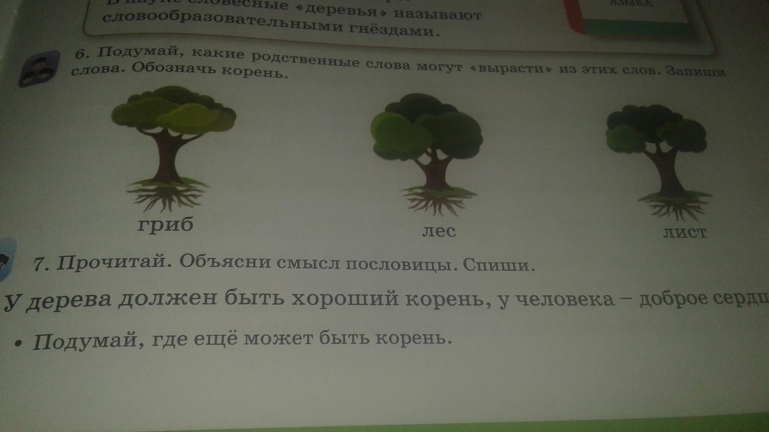 Показывает какой корень. Родственные слова. Однокоренные родственные слова 2 класс. Родственные слова с корнем гриб. Гриб однокоренные слова.