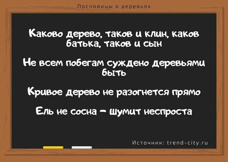 Пословицы дерево живет. Поговорки про деревья. Пословицы о деревьях. Пословицы о доброте и щедрости. Русские пословицы и их значение.