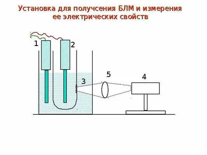 Блм это