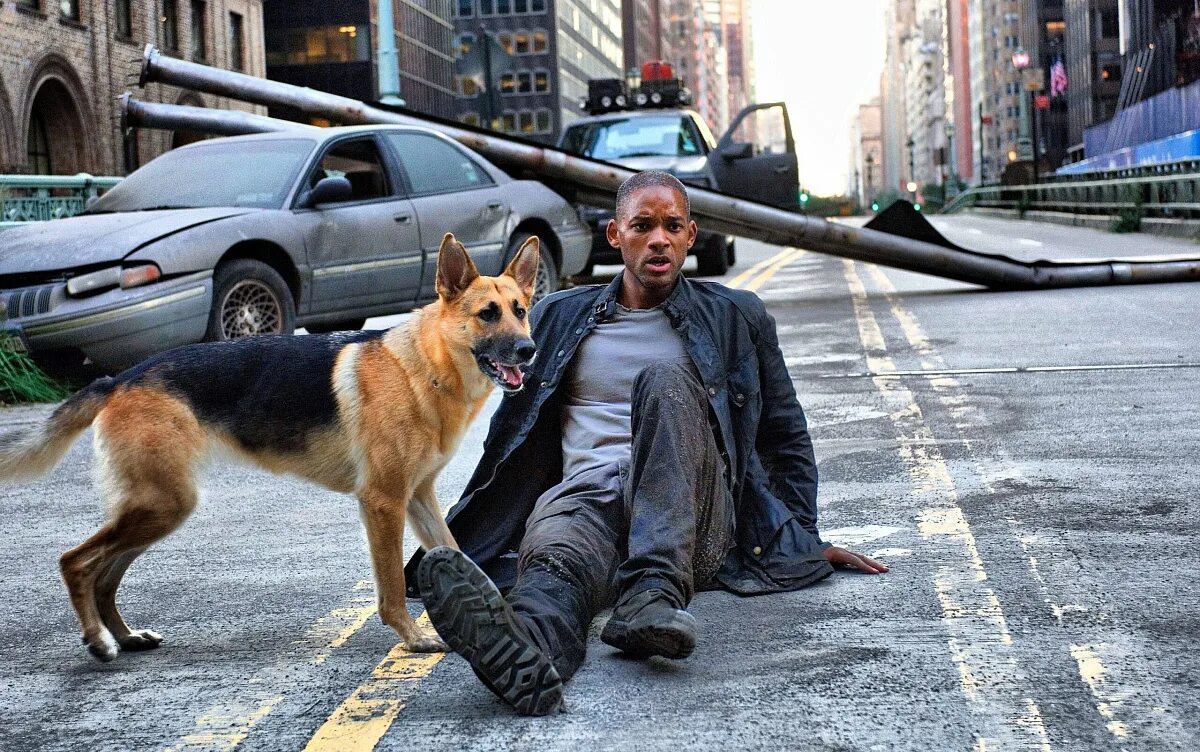 Я - Легенда i am Legend (2007). Уилл Смит я Легенда. Я Легенда Уилл Смит с собакой.