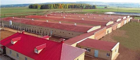 Фото агрофирм