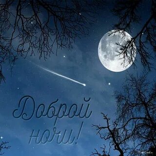 Ночь картинки красивые необычные нежные