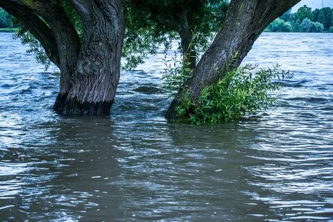 Вода речка