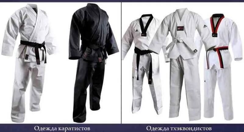 тхэквондо и каратэ отличия. тхэквондо травмы. каратист тхэквондо. что лучше карате или тхэквондо. что лучше карате или тхэквондо.