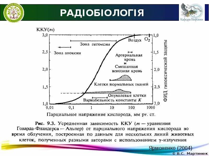 Радиобиология. Радиобиология это кратко. Радиобиология схема. Радиобиология картинки для презентации.