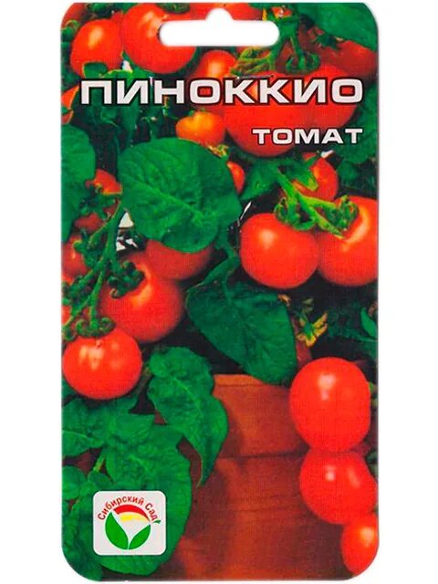 Сорт томатов пиноккио. Томат балконное чудо пиноккио. томат пиноккио (комнатный). помидоры черри пиноккио. сорт пиноккио томат.