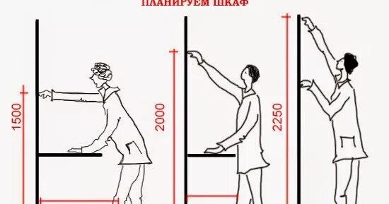 Сколько места занимает человек. Высота до которой можно достать рукой. Максимальная высота до которой может дотянуться человек. Высота полки до которой удобно дотянуться.