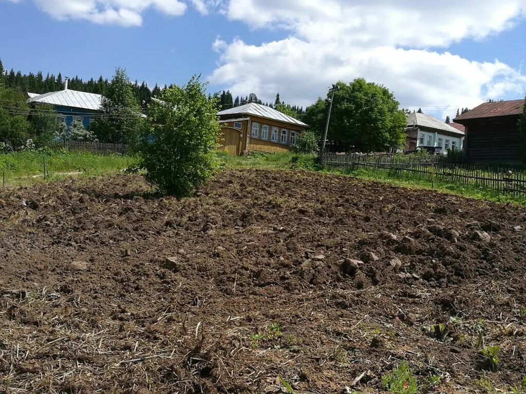 Воронино Режевской район деревня. Гора Воронина ул. Пушкина, 2, Михайловск фото.