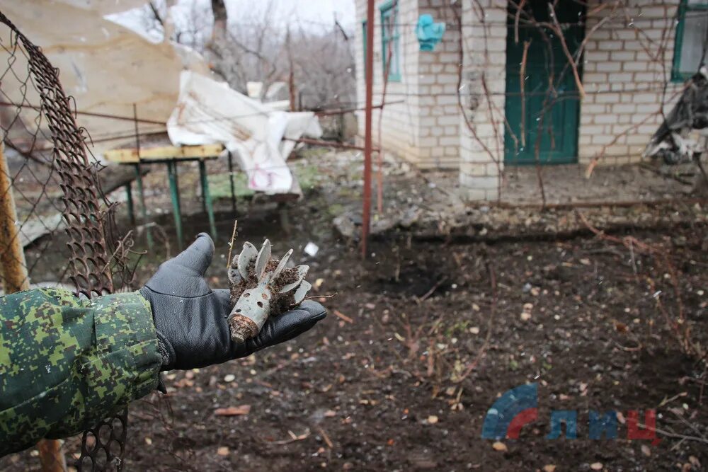 Животные Донбасса под обстрелом. Донбасс вернулся домой. Обстрел орла сегодня