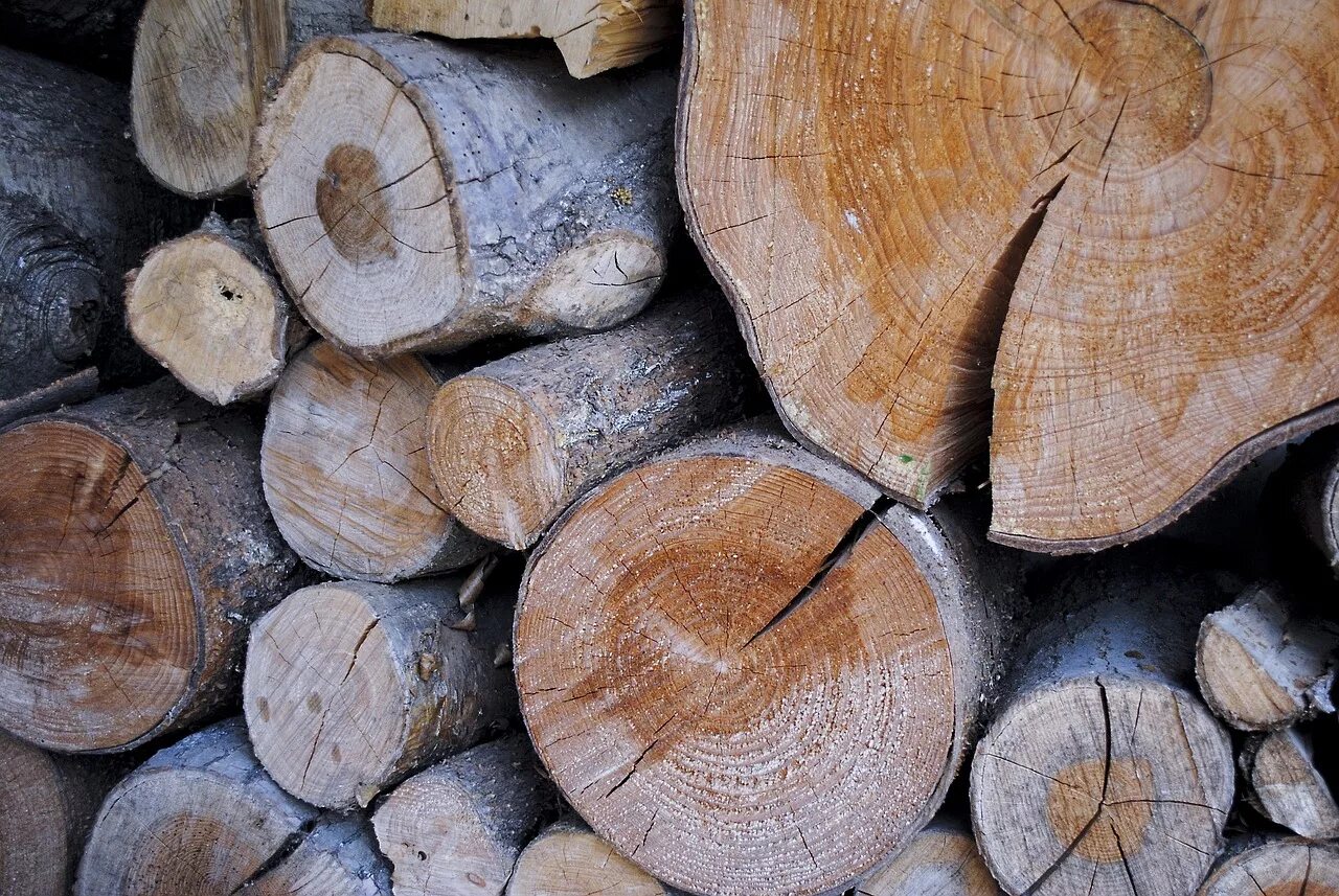 Natural dry. Древесина. Срез дерева. Сосна древесина. Красивый срез дерева.