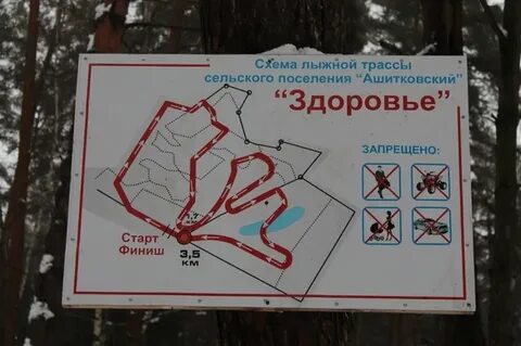 Лыжная трасса здоровье