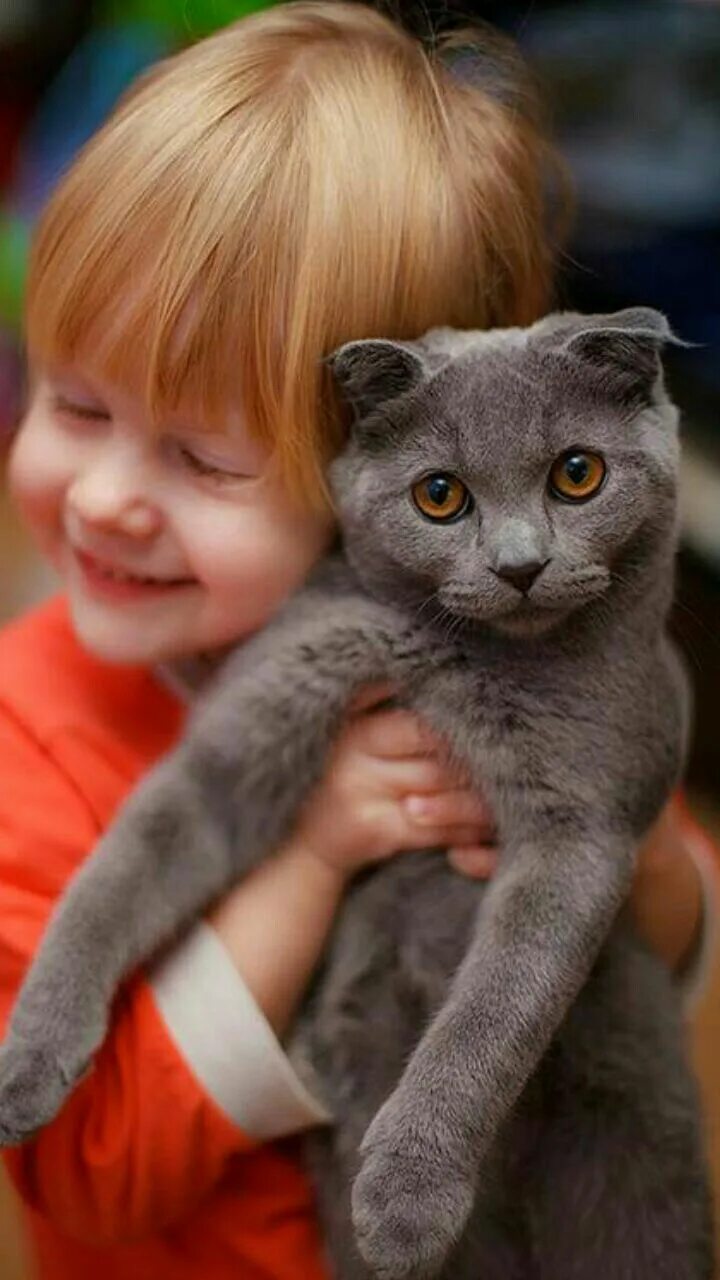 Самые лучшие кошки для детей