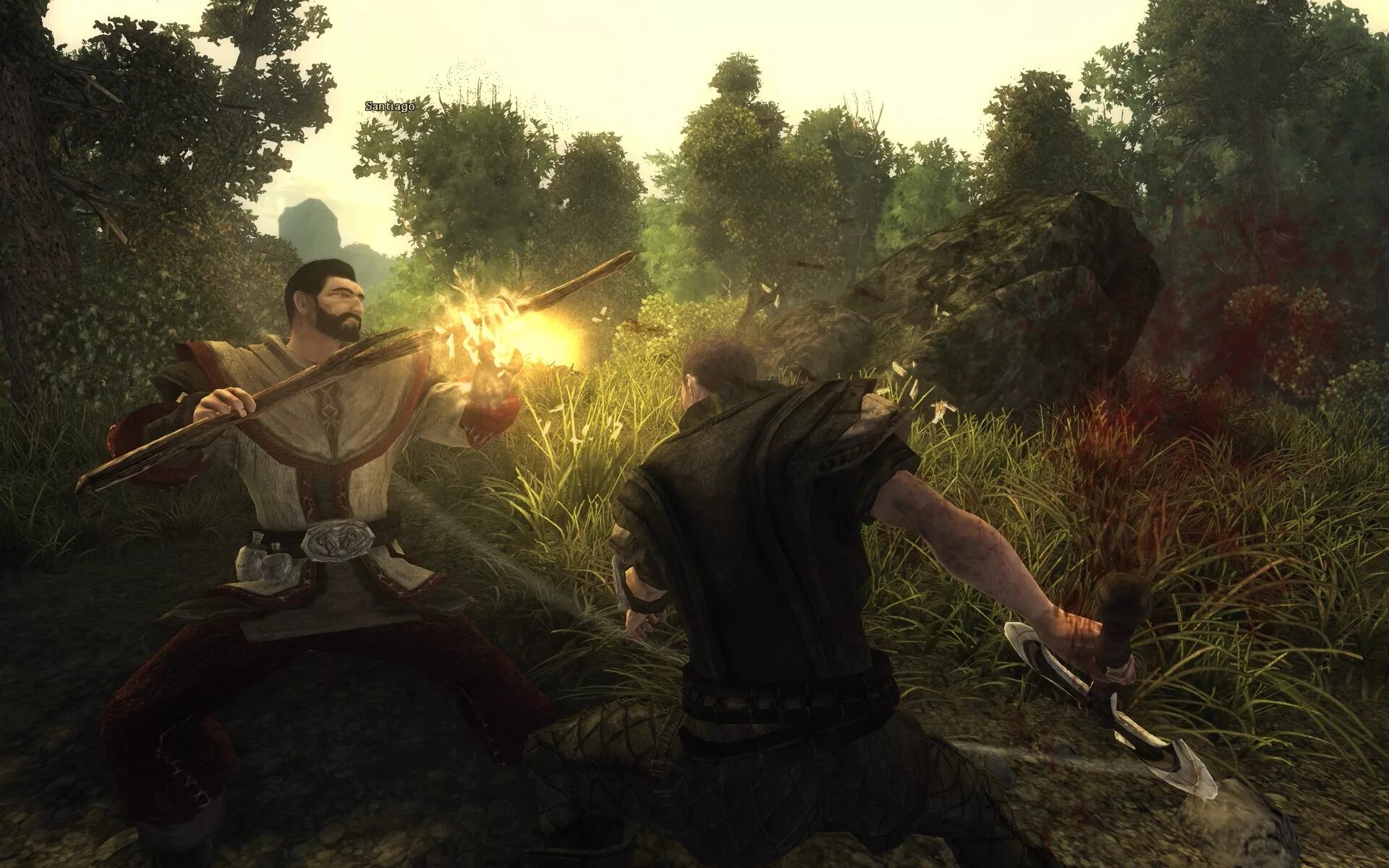 Risen 1 игра. Risen 2009 скриншоты. Ризен 3. Risen 2009. Найти игру risen.