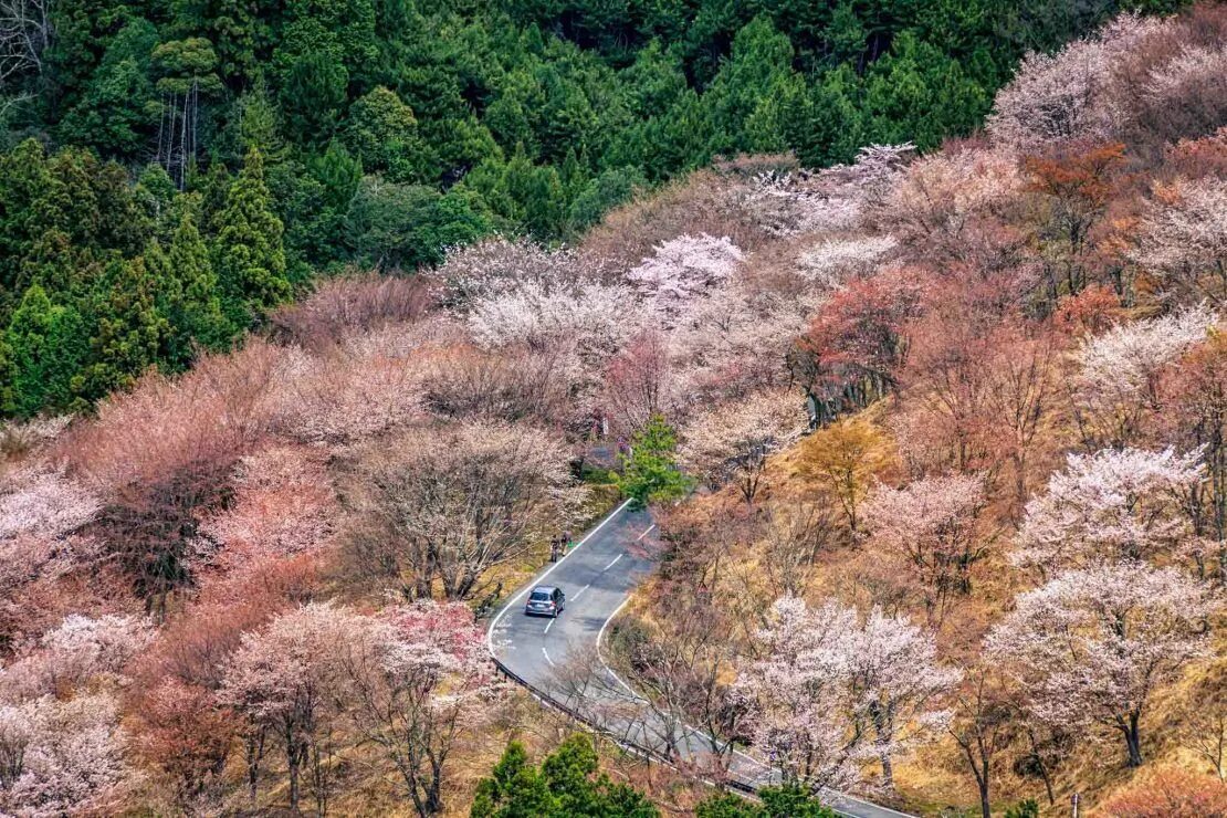 Гора Йосино (Япония). Гора Акина Япония. Есино Япония. Mount Yoshino.