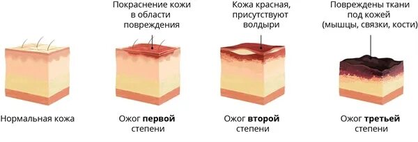 МБОУ г.Горловки "Школа № 29" 9 класс: записи сообщества ВКонтакте