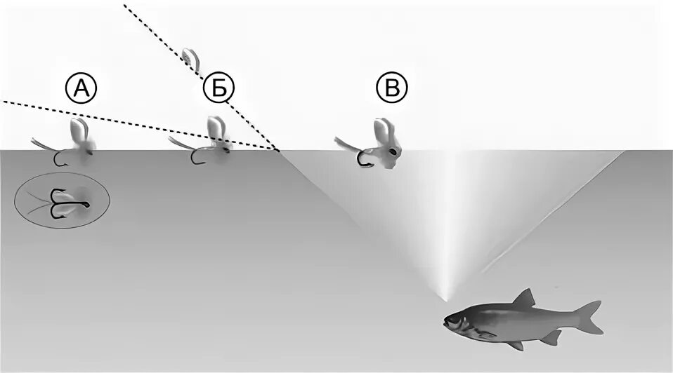 Рыба видит приманку. Как видят рыбы. Как видит рыба под водой. Как видят рыбы наглядно. Как рыбки видят человека.