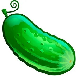 Қыз неше рет оргазм алады?