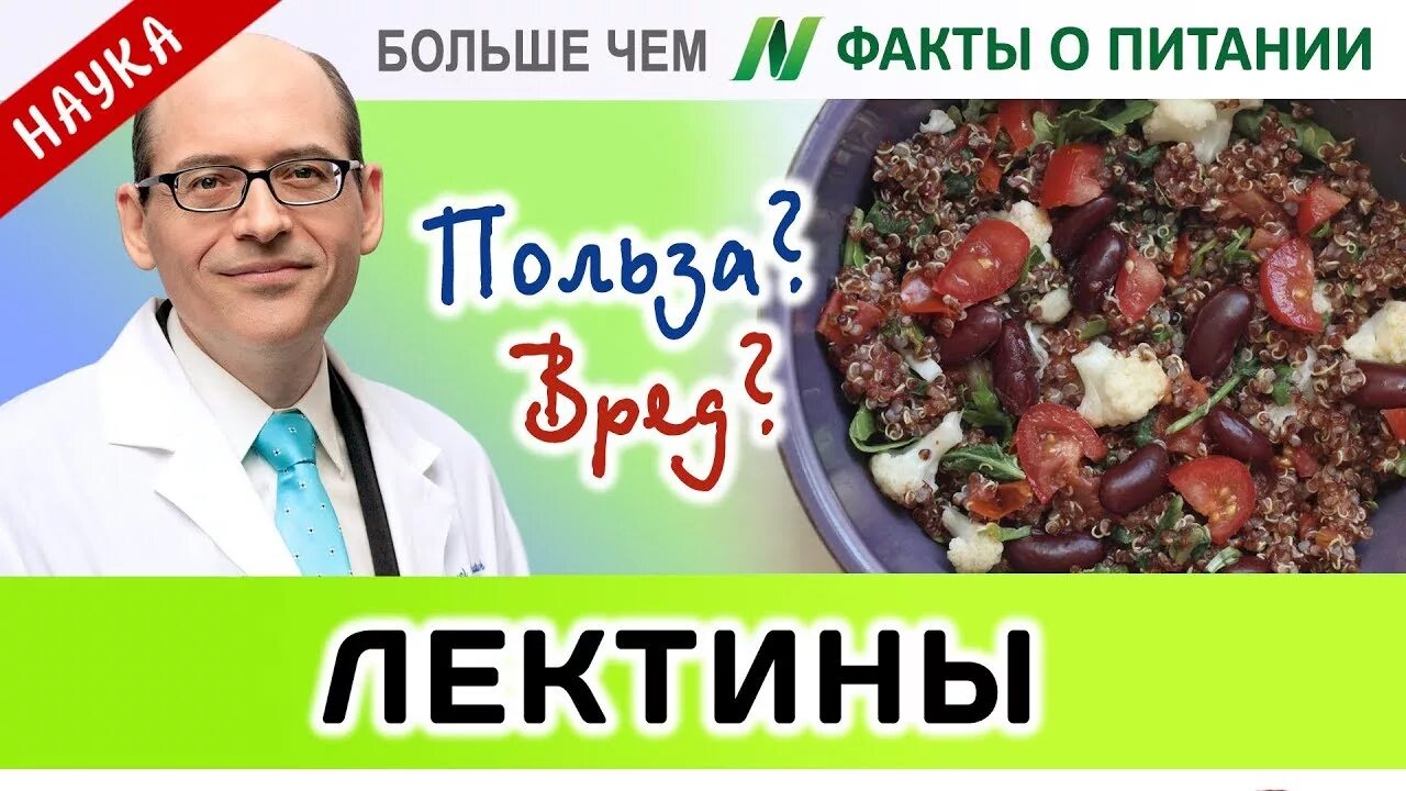 Лектины содержатся. Лектины в продуктах. где содержатся лектины. лектины что это такое польза и вред. продукты без лектина.