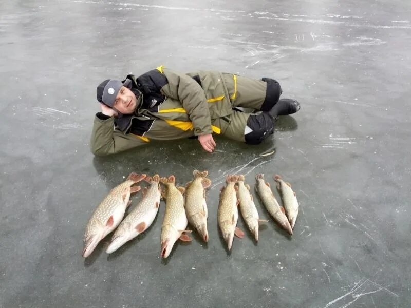 Зимняя рыбалка на Волге. Рыбалка на Волге зимой. Рыбалка зима Волга. Рыбы Волги в Ивановской области. Русфишинг ру форум вести с водоемов