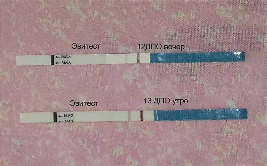 Тест 12 2023. Эвитест на 12 ДПО. Эвитест 10 ДПО. Тест на беременность 12 ДПО эвитест. 12 ДПО эвитест отрицательный.