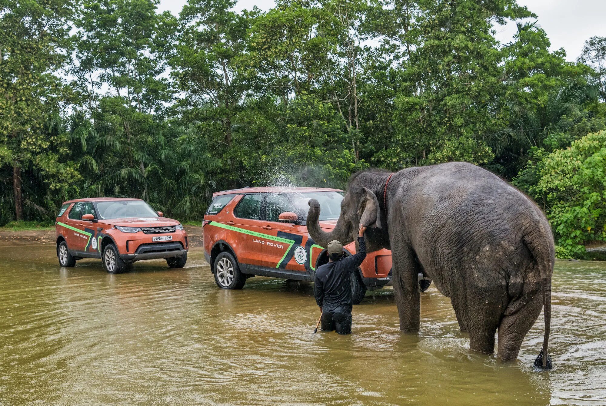 Elephant car. Машины в Тайланде. Мойка слон. Обезьяна моет машину.