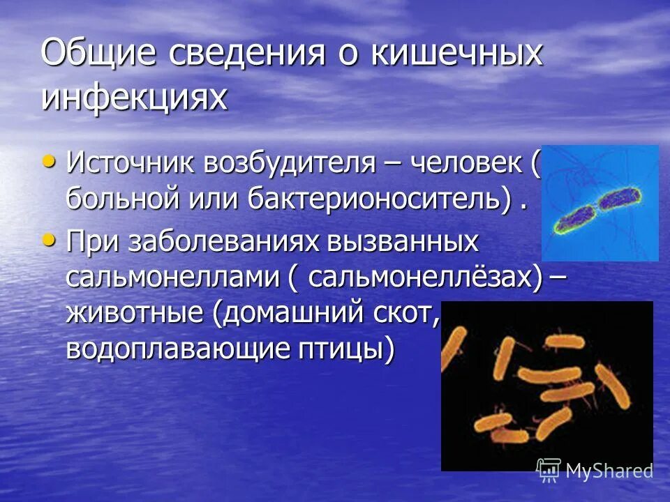 Пищевые инфекции презентация. Пищевые токсикоинфекции презентация. Кишечные заболевания презентация. Возбудители пищевых инфекций. Ботулизм сальмонеллез